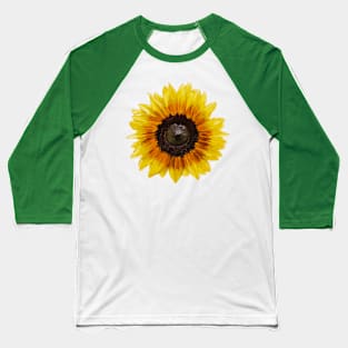 Sunflower 1 (Detailed) Baseball T-Shirt